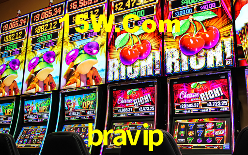 bravip,bravip.com