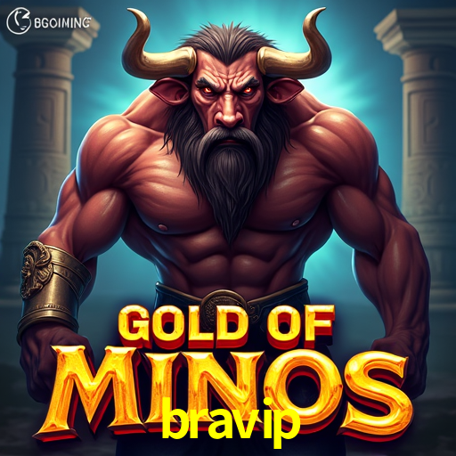Secure Login bravip