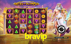 bravip.com