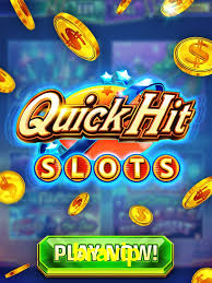 Daily Bonuses bravip