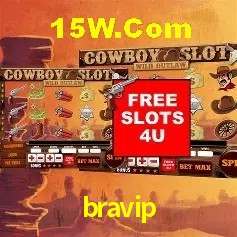 Security Systems bravip