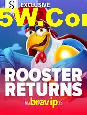 Welcome Bonus bravip