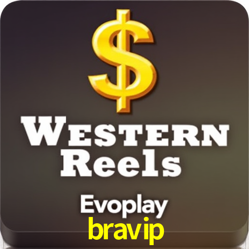 Security Systems bravip